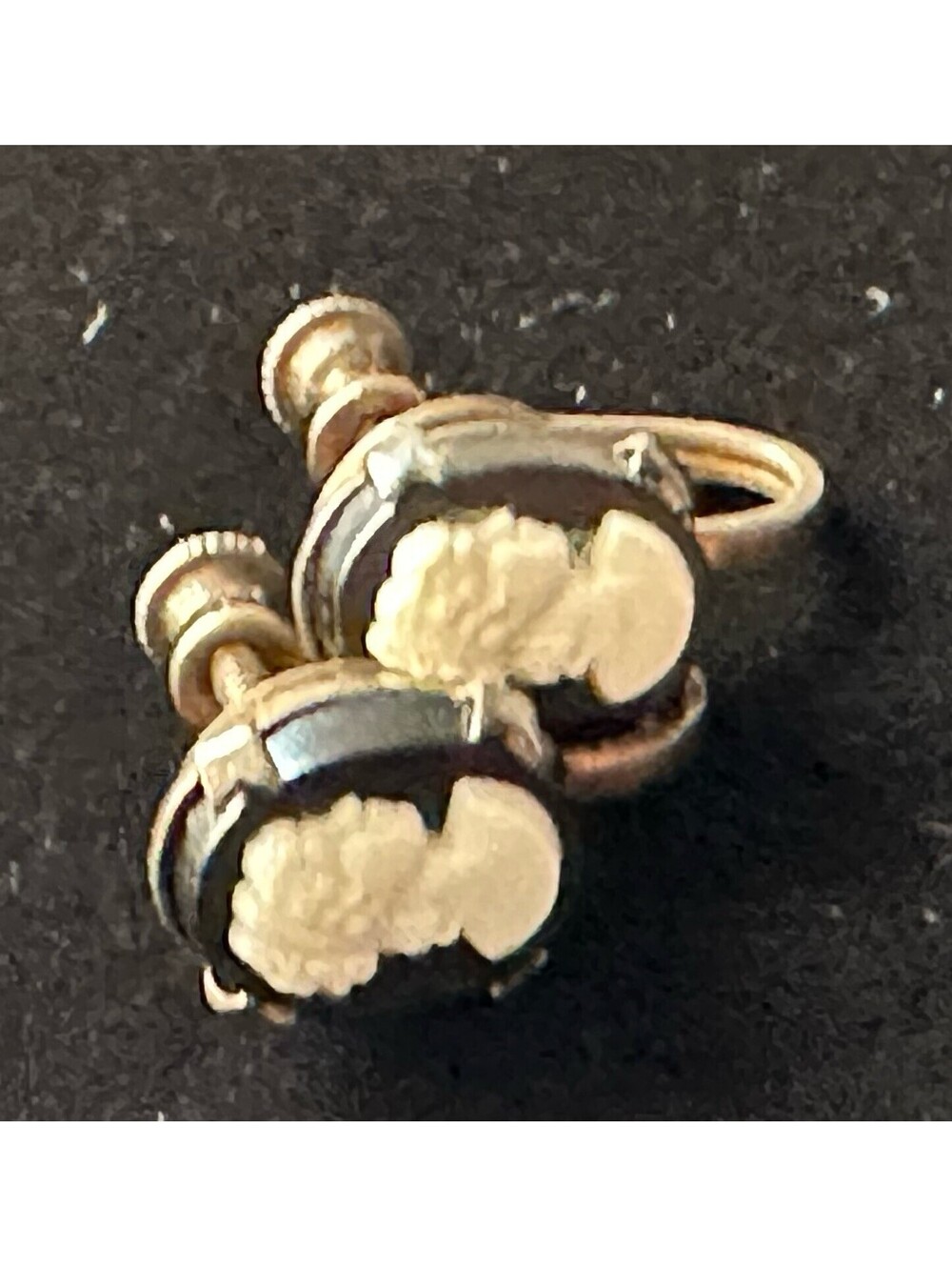 Vintage Cameo Black White Screw Back Earrings